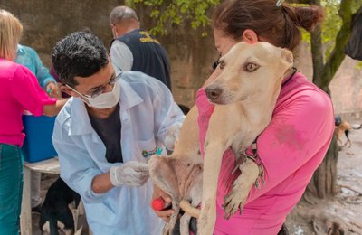 Gabinete da Causa Animal visita ONGs e aplica vacina antirrábica em cães e gatos