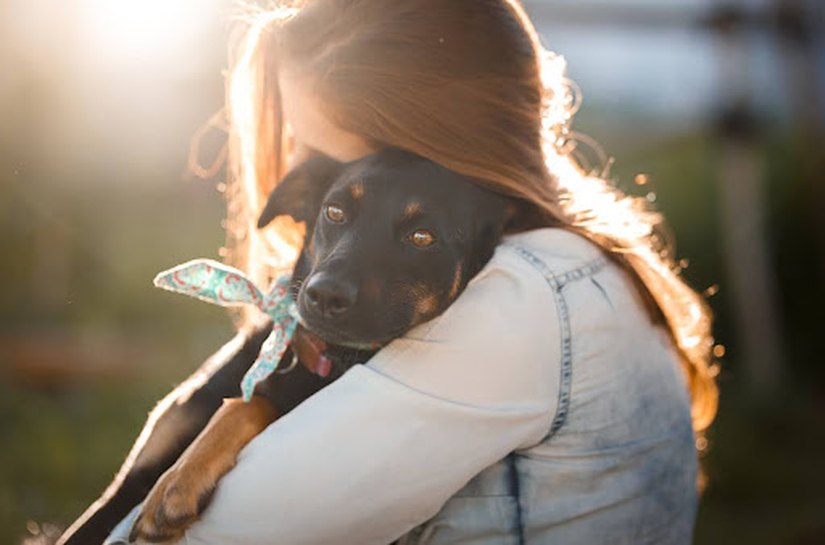 Primeira adoção? Saiba como preparar sua casa para receber um cachorro de grande porte