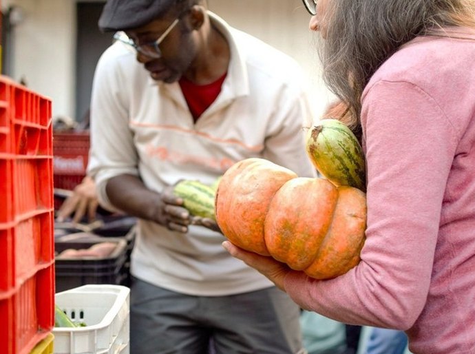 Edital lança a primeira edição do Prêmio Brasil Sem Fome; CNM chama atenção a segurança alimentar e nutricional