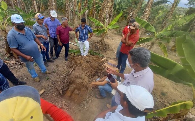 Secretaria de Agricultura de Branquinha trabalha no fortalecimento do cultivo e produção da banana