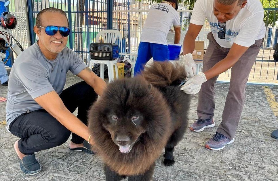 vacina animais / Foto: Foto: Ascom/SMS