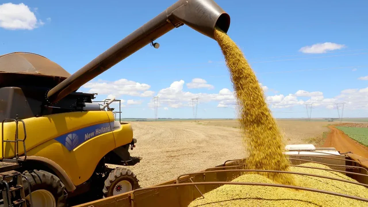 Plano Safra não consegue dar mais vazão a todas as demandas do agro, diz presidente da CVM