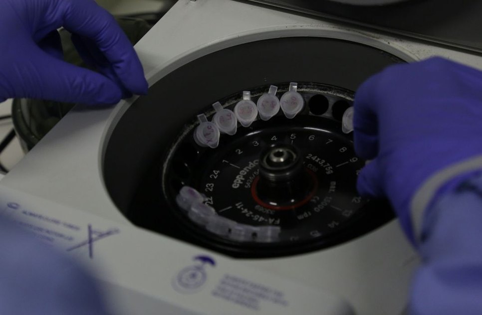 LABORATÓRIO CORONAVÍRUS / Foto: Divulgação/Josué Damacena (IOC/Fiocruz)