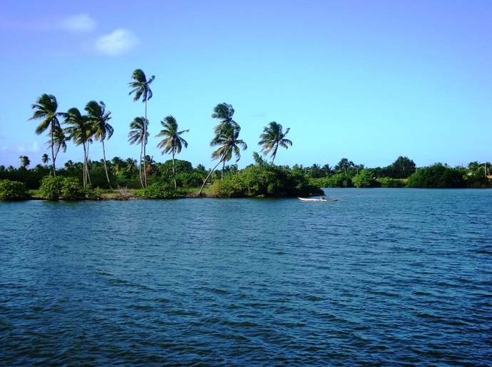 Sala de Alerta insta plataformas para monitorar rios, lagoas e chuvas em AL