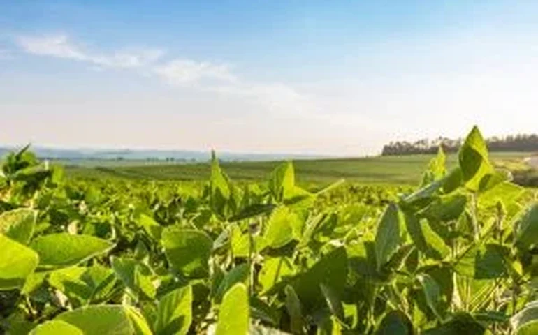 Etanol de soja em escala industrial reforça o protagonismo brasileiro em biocombustíveis avançados