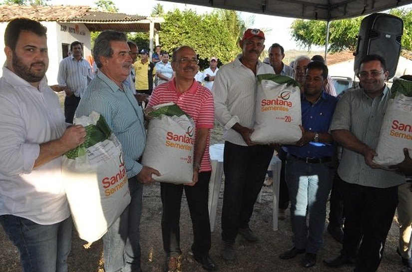 Agricultores da Região Sul comemoram aumento na produção de arroz