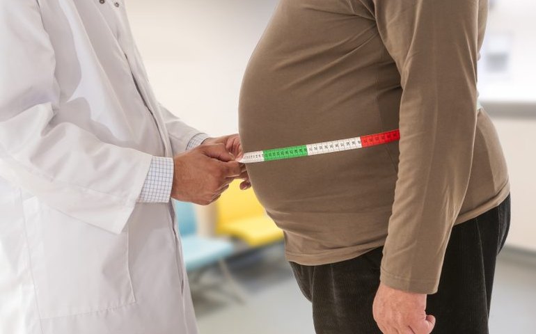 Obesidade acelera avanço do Alzheimer, aponta estudo inédito