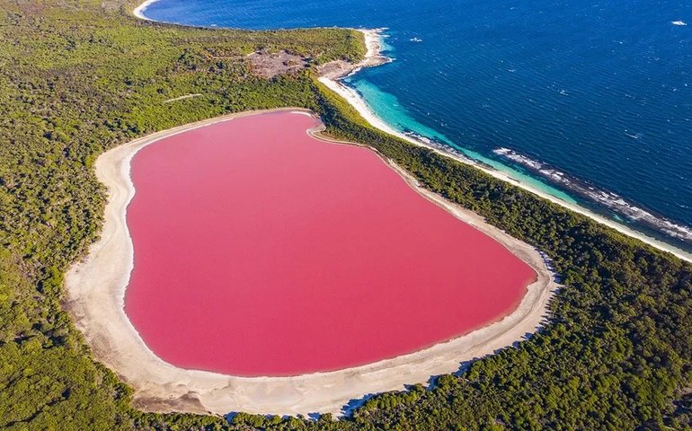 Parece da Barbie, mas não é: de lago a elefante, veja fenômenos que poderiam ter saído do filme; fotos