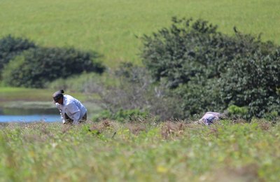 Prefeitura de Coruripe começa a emitir o Cadastro Ambiental Rural