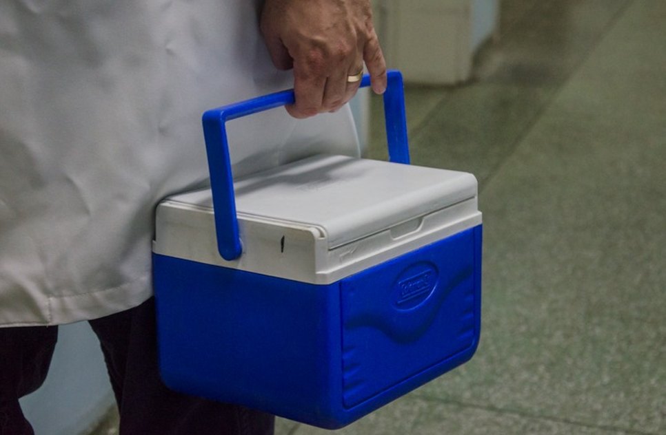 TRANSPLANTE DE ÓRGÃOS / Foto: SES