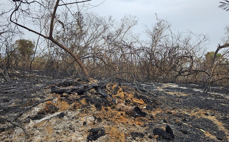 BNDES destina R$ 150 milhões para combater incêndios no Cerrado e Pantanal em ação inédita