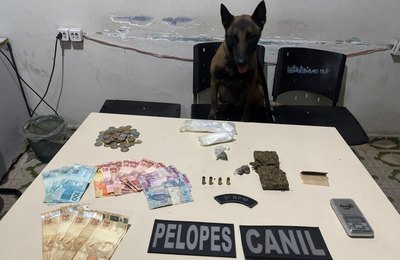 PM combate o tráfico em ações em Arapiraca e Maceió
