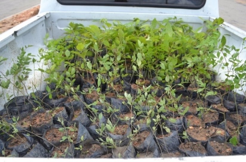 Recursos Hídricos lança cartilha de educação ambiental em Murici