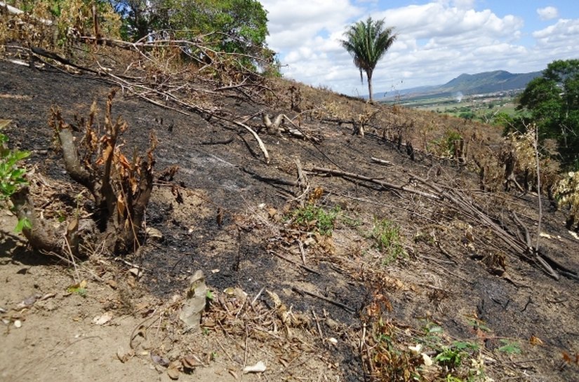IMA monitora focos de queimada na APA de Murici
