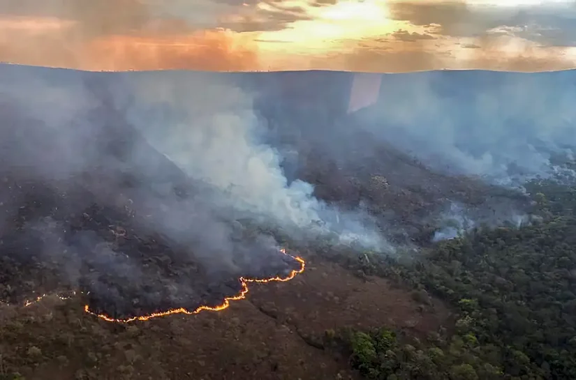 Brasil tem 976 focos de incêndio, sendo 40% na Amazônia