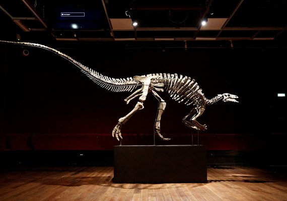 Esqueleto raro e quase completo de dinossauro de 150 milhões de anos será leiloado