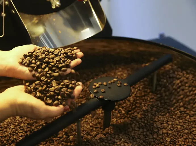 Preço do café cai pela primeira vez depois de 18 meses, diz IBGE