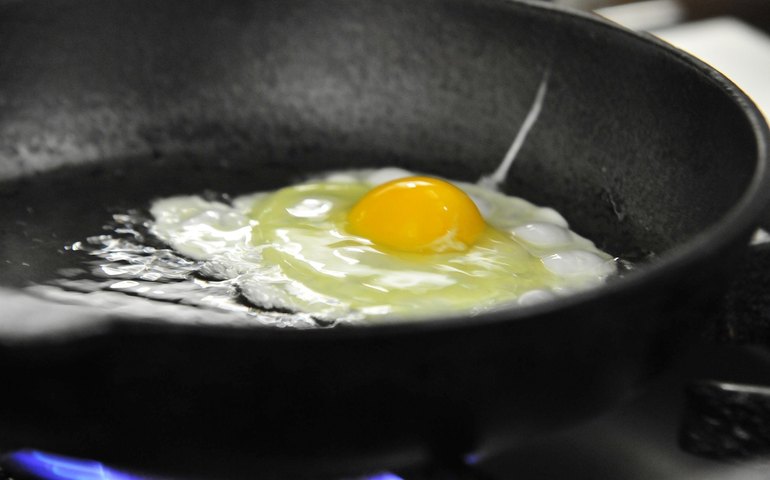 Calor recorde, galinha estressada e preço mais baixo: por que é hora de comer ovo