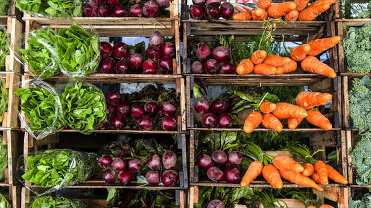 FAO: custo de importação de alimentos deve bater recorde de US$ 1,75 tri em 2021