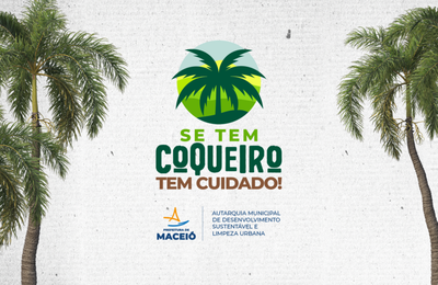 Prefeitura lança na quinta (11) projeto 'Se tem Coqueiro tem Cuidado' no Pontal da Barra