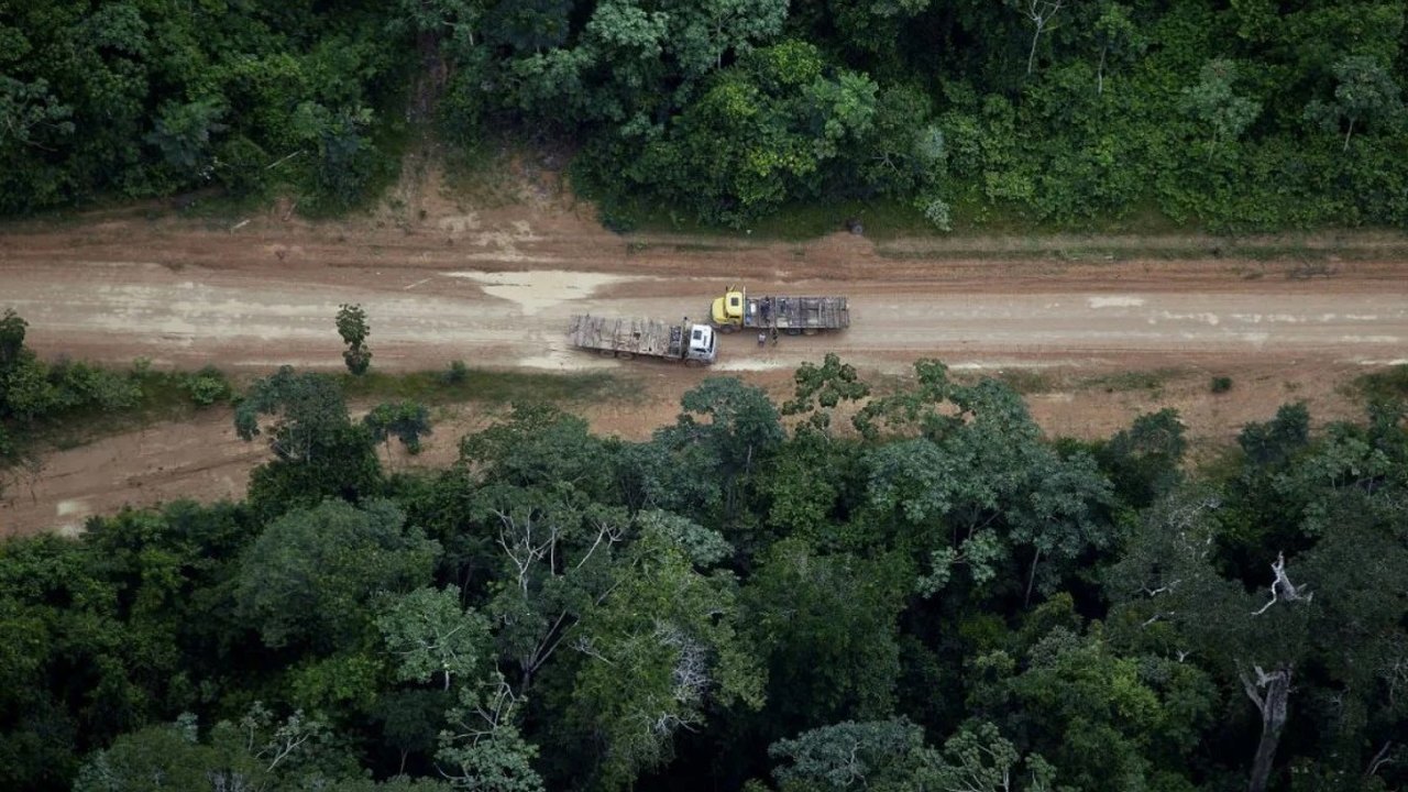 Estrada de terra ilegal avança e ameaça a Floresta Amazônica