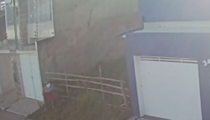 Suspeito de cometer maus tratos é preso por abandono e morte de animais em Lagarto / Foto: Reprodução/Polícia Civil