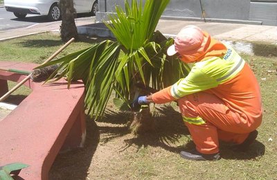 Praça do Rex recebe limpeza e conta com novas luminárias colocadas pela Prefeitura