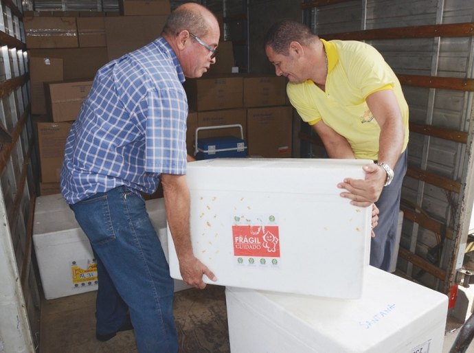 Sesau começa distribuir vacina contra influenza para municípios alagoanos