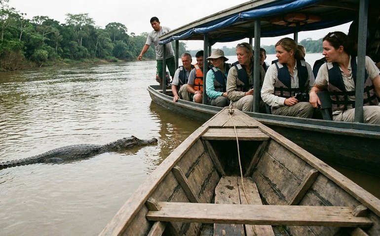 Turistas desistem de banho no Amazonas após jacaré aparecer no rio