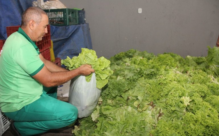 Prefeitura abre chamadas públicas para agricultores familiares e entidades socioassistenciais