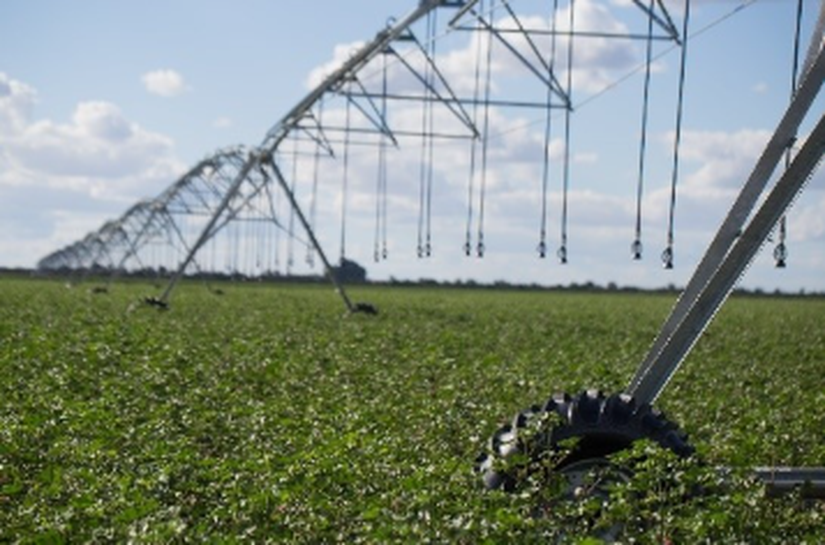 Estratégias de nutrição inteligente impulsiona a produtividade das lavouras brasileiras