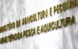 News title