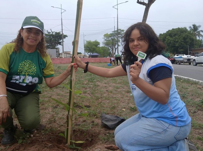 Canteiro do Dique Estrada recebe plantio de árvores de grande porte