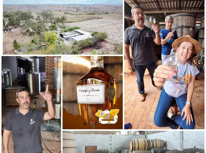 A cachaça de Quebrangulo que carrega a alma de Alagoas em cada gota