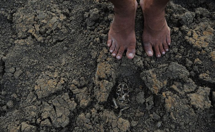 Verbas serão destinadas para atingidos por desastres climáticos Verbas serão destinadas para atingidos por desastres climáticos