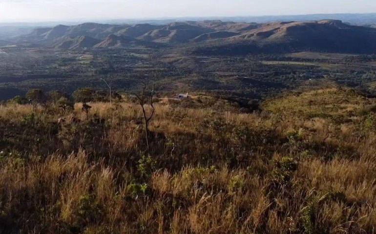Focos de incêndio no Brasil caem em maio; Cerrado concentra os casos