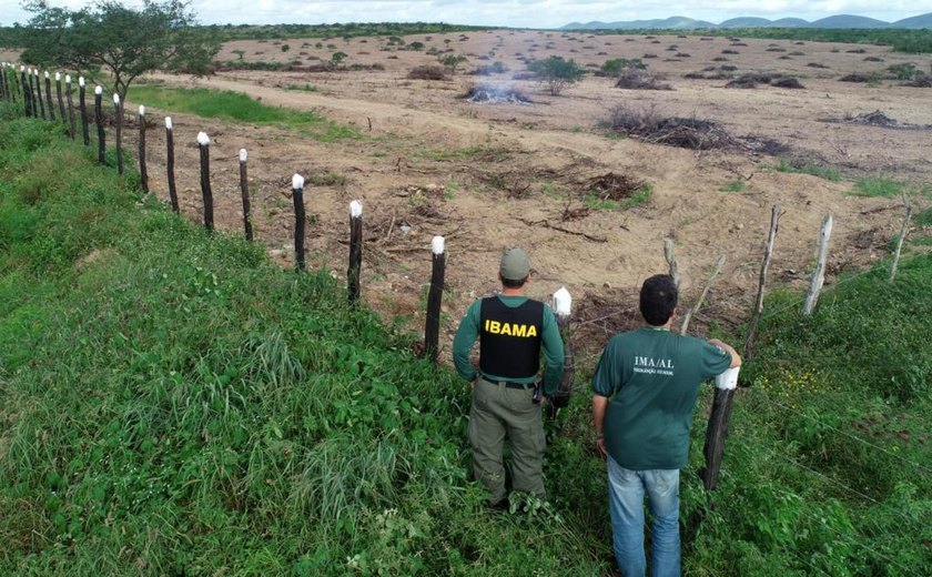 IMA-AL alerta para aumento de focos de queimadas devido a fenômenos meteorológicos
