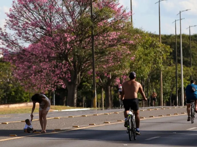 Dois terços dos brasileiros moram em ruas arborizadas, aponta pesquisa do IBGE