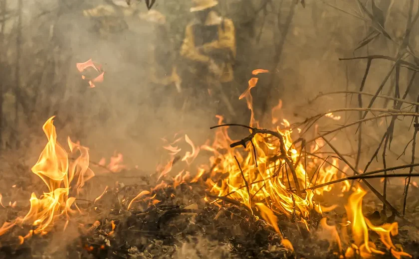 Em Mato Grosso, Corpo de Bombeiros está combatendo 50 incêndios florestais