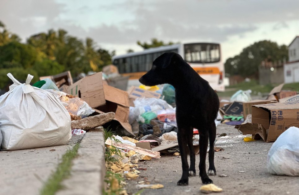 Foto: Vinícius Mecenas