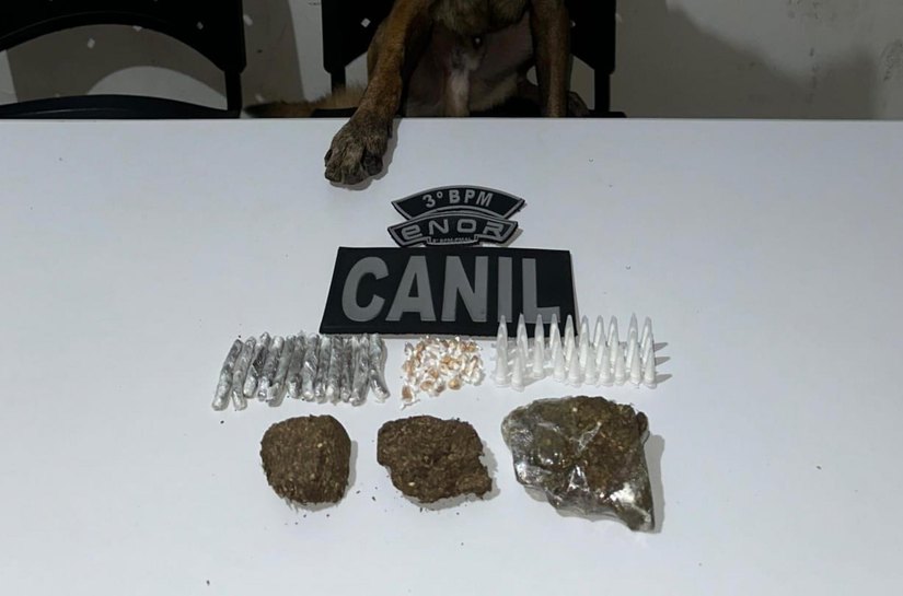 PM-AL apreende 33 armas e quase 14 quilos de drogas em uma semana