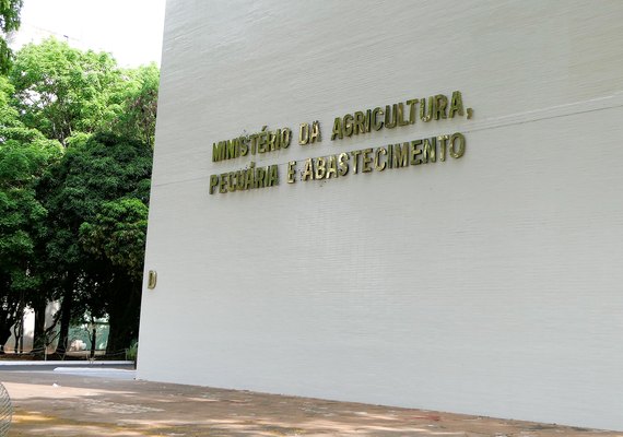 Brasil ultrapassa a marca de 1,2 mil cachaçarias registradas