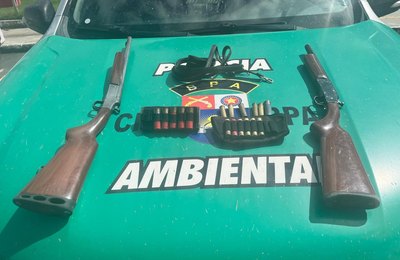 PM-AL recolhe 11 armas de fogo e resgata cerca de 400 aves silvestres em Alagoas