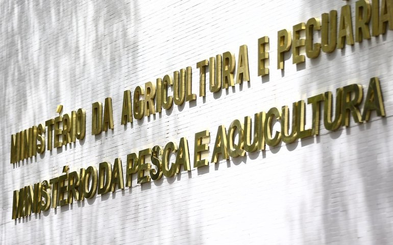 Ministério da Agricultura apreende no 2,4 t de café impróprio para consumo no RJ