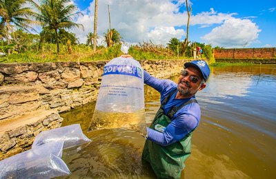 Prefeitura inicia entrega de mais de 180 mil alevinos para produtores rurais de Arapiraca