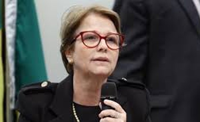 ‘Brasileiro não passa muita fome porque tem muita manga’, diz ministra da Agricultura