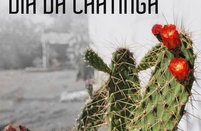 Dia da Caatinga será comemorado com seminário no Campus Arapiraca