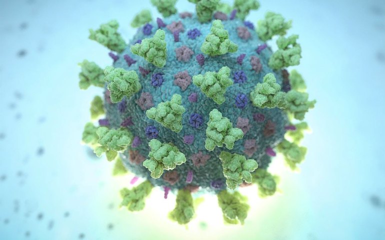 Brasil passa Bélgica e se torna o 6º país com mais mortos por covid-19