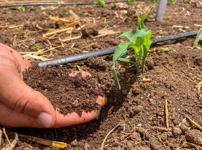 Alagoas foi o primeiro estado do Nordeste a lançar Plano de Agricultura de Baixo Carbono