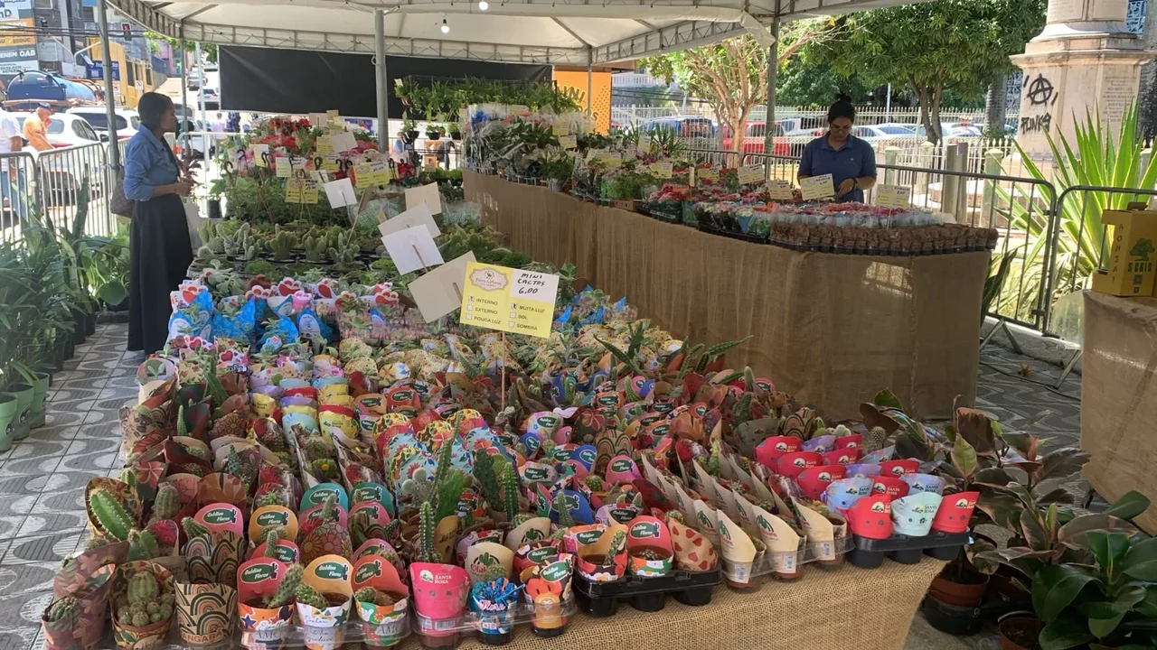 Maceió recebe Feira de Flores de Holambra para celebrar a chegada da primavera com mais de 200 espécies a partir de R$ 5